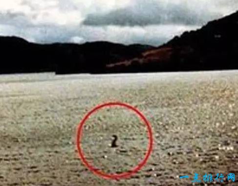 世界十大水怪之一：青海湖水怪