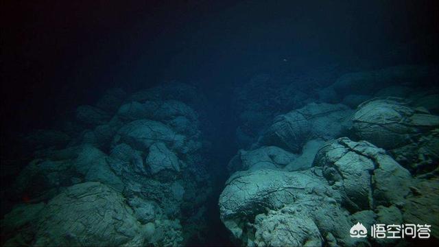 海底一万米有多恐怖?能吓死人的深海恐惧图