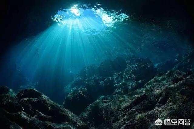 海底一万米有多恐怖?能吓死人的深海恐惧图