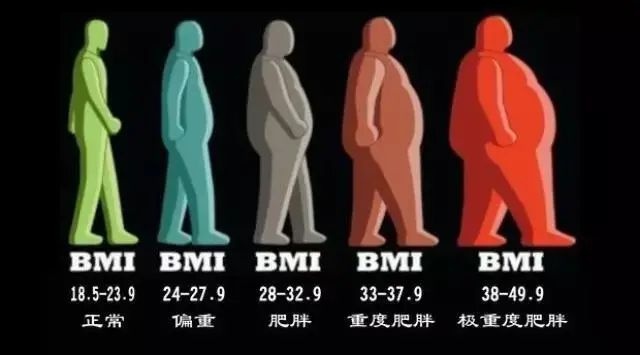 「健康素养小讲堂」什么是体质指数（BMI）？(图2)